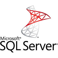 MS SQL Server Data Systems Ardmore OK